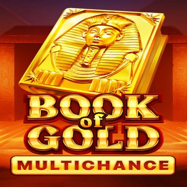 Book of Gold Multichance logo by Playson at Kingmaker Casino
