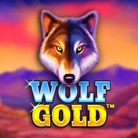 Play the Wolf Gold slot by Pragmatic Play on Kingmaker Casino